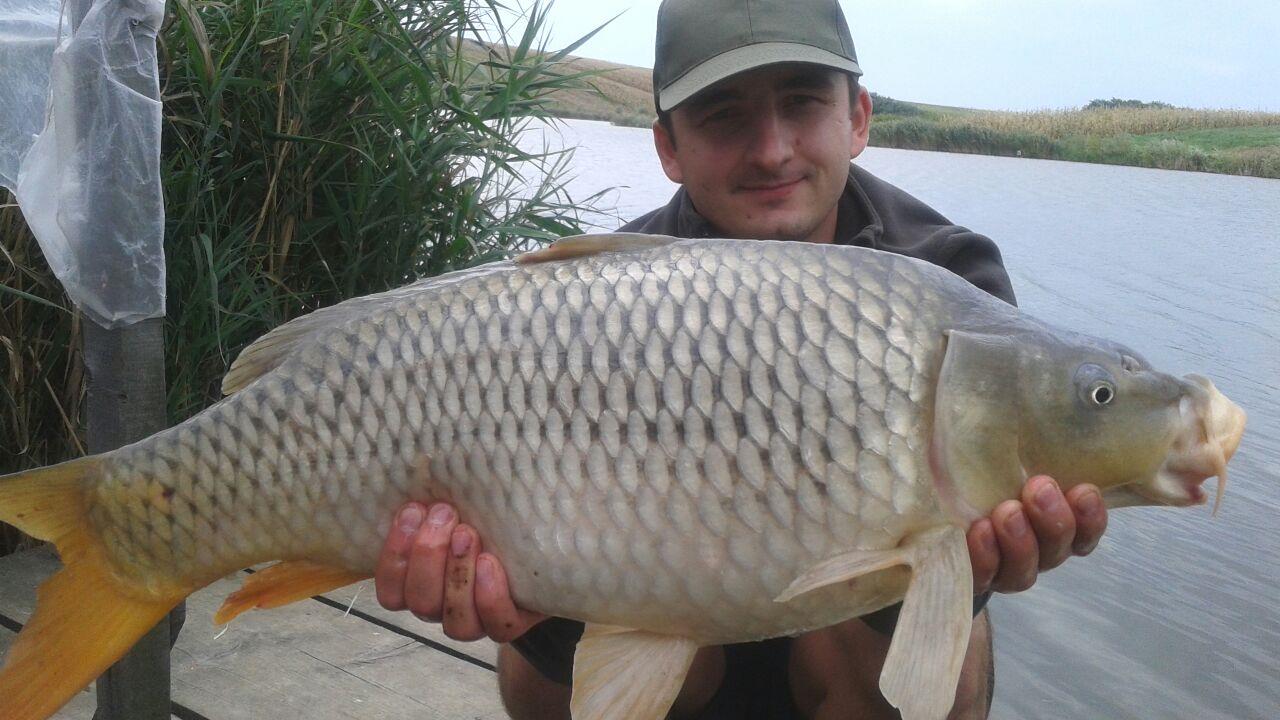 Magura 9 5 - 6 sep. - img-20140916-wa0007.jpg